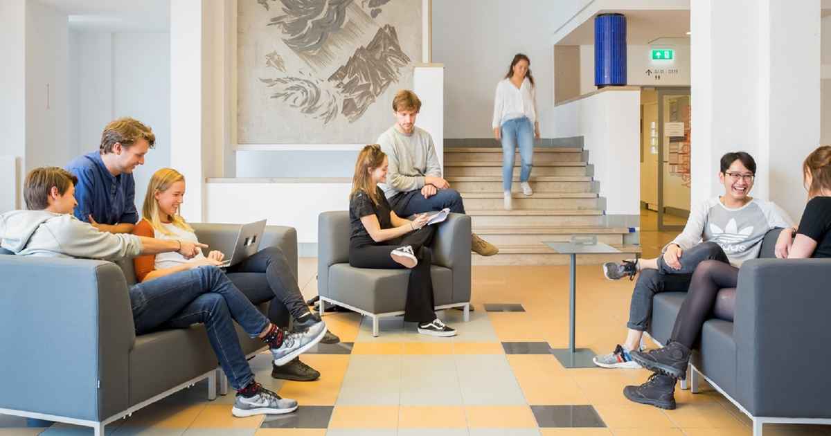 phd psychology amsterdam