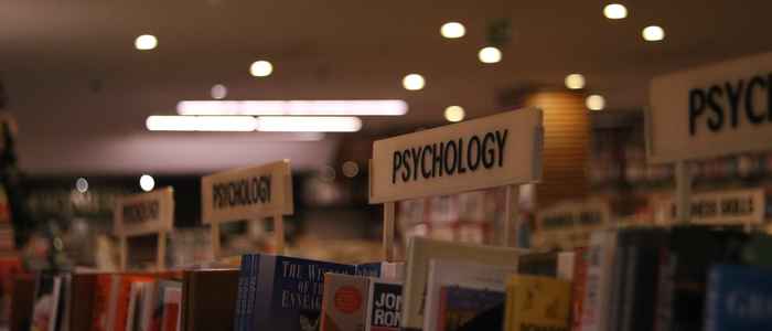 psychology phd in netherlands
